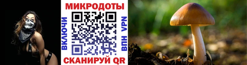 МЕГА   Фёдоровский  Галлюциногенные грибы прущие грибы 